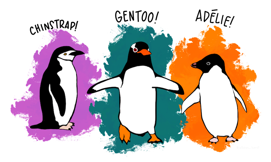 Beautiful illustration of three penguins, Chinstrap, Gentoo, and Adélie, each labeled with their species. The Chinstrap penguin has a magenta background, the Gentoo penguin a teal background, and the Adélie penguin an orange background